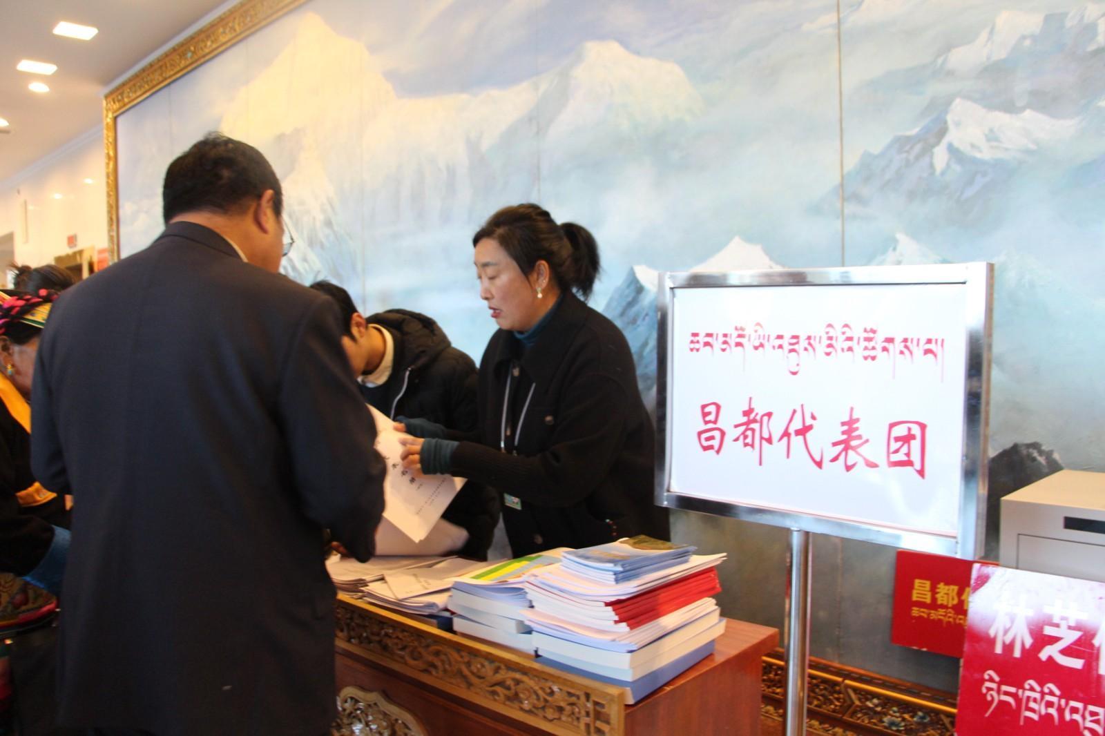 工作人员在引导入会 .JPG