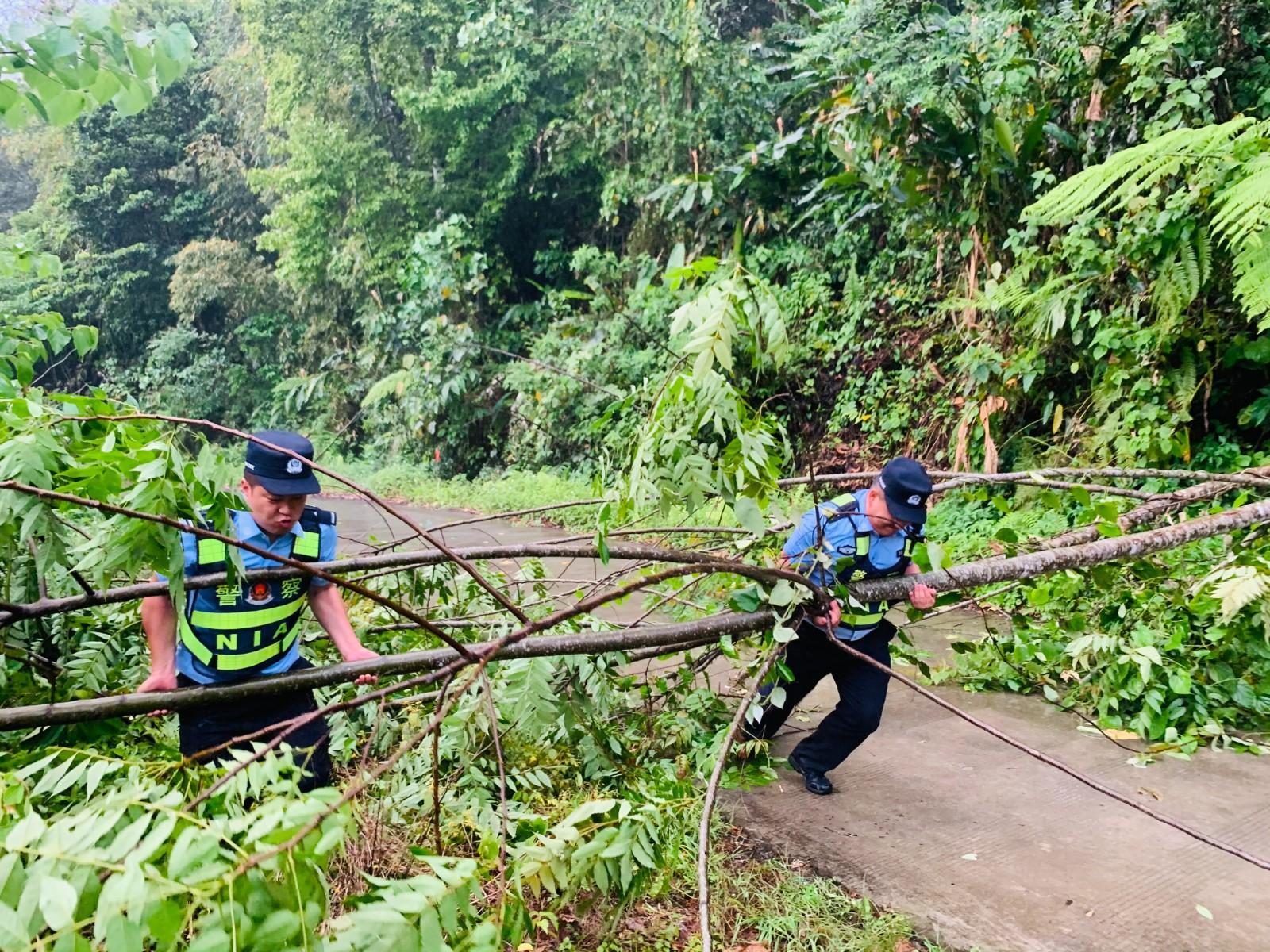 民警代青旺加与程靖合力挪动倒塌树木（李倩）摄.jpg