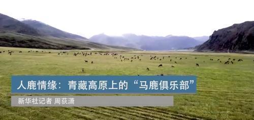 微信截图_20220523120158.jpg