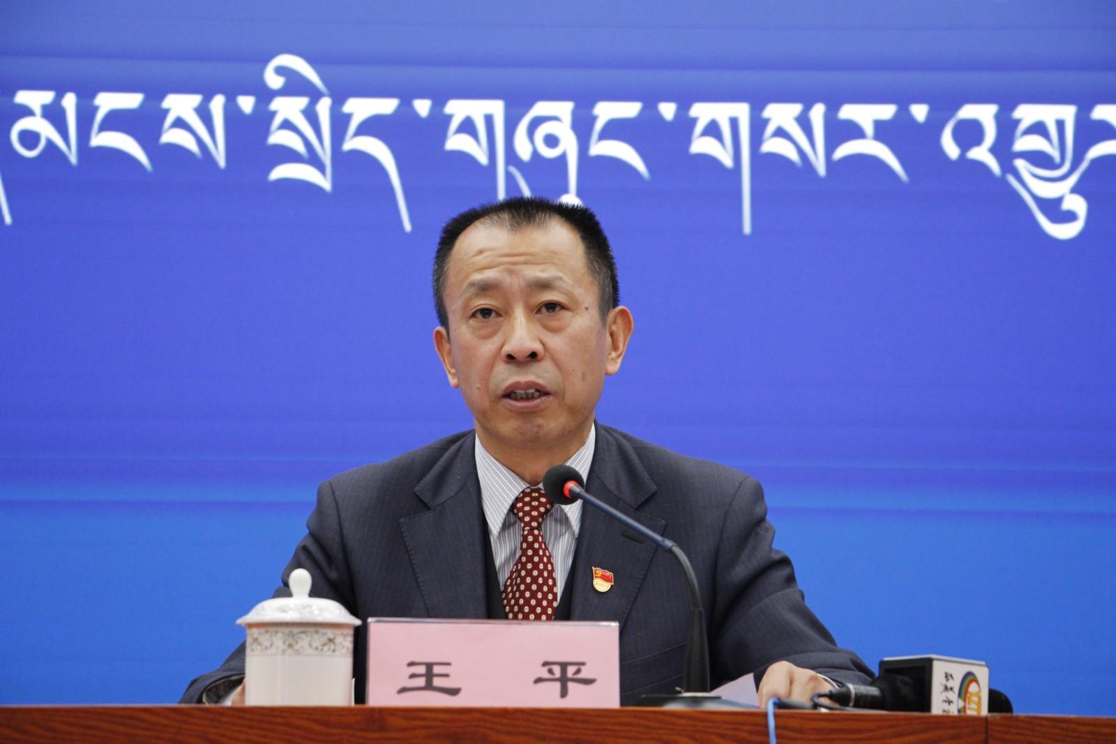 新闻发言人：西藏自治区水利厅党组成员、副厅长王平.JPG