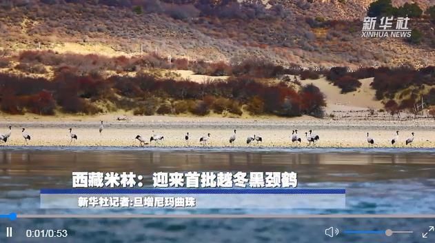 微信截图_20230102092044.jpg