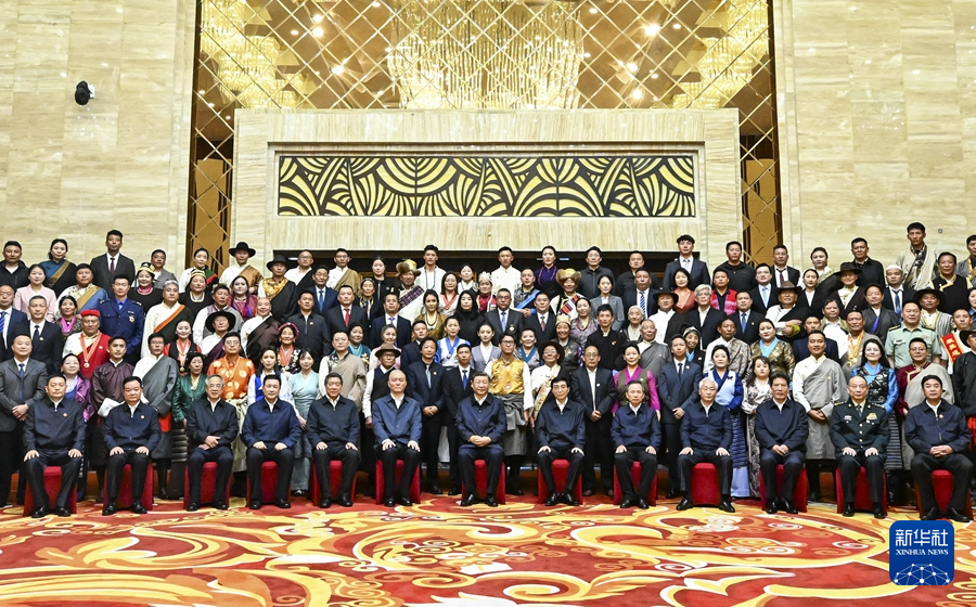 習(xí)近平接見西藏各族各界代表