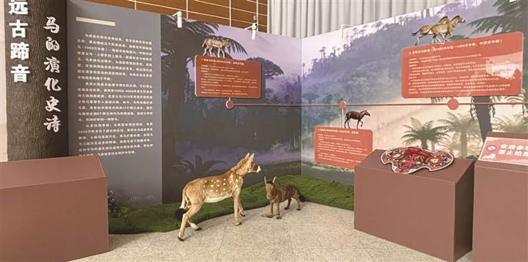 西藏自然科学博物馆寒假科普盛宴启幕