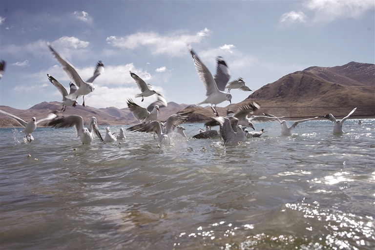 见羊湖湛蓝 识冰川苍茫