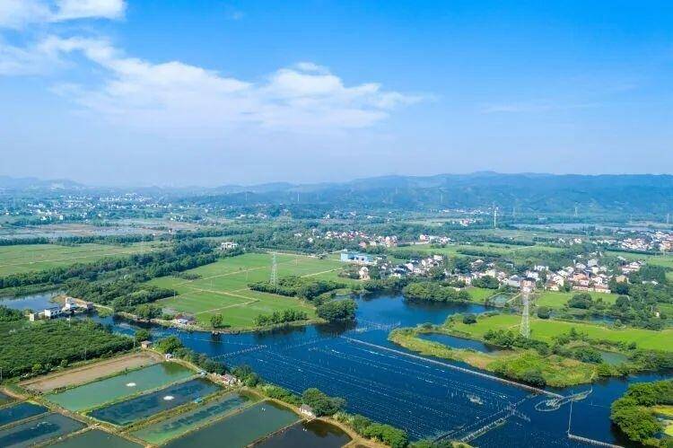 好评中国丨向“绿”而行
