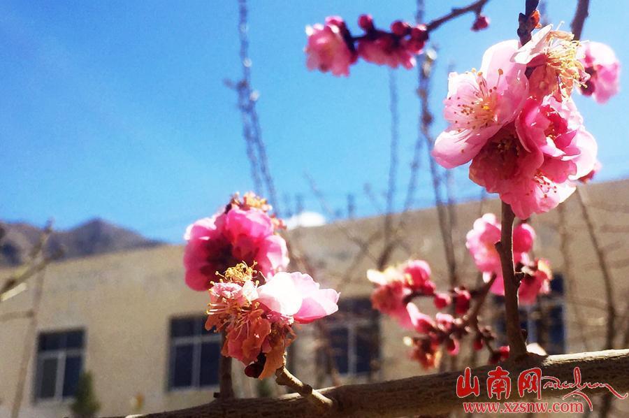 点击进入下一页