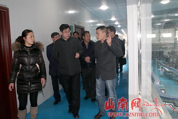 姜杰：突出重点项目 做大做强特色优势产业