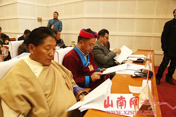 凝聚力量共谋发展——山南政协委员积极履职尽责