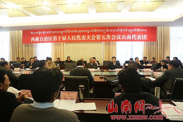普布顿珠：全力推进山南市各项工作上新水平