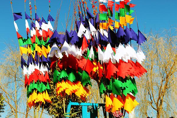 图为：缝制好的五彩经幡树。曲杰  摄.jpg