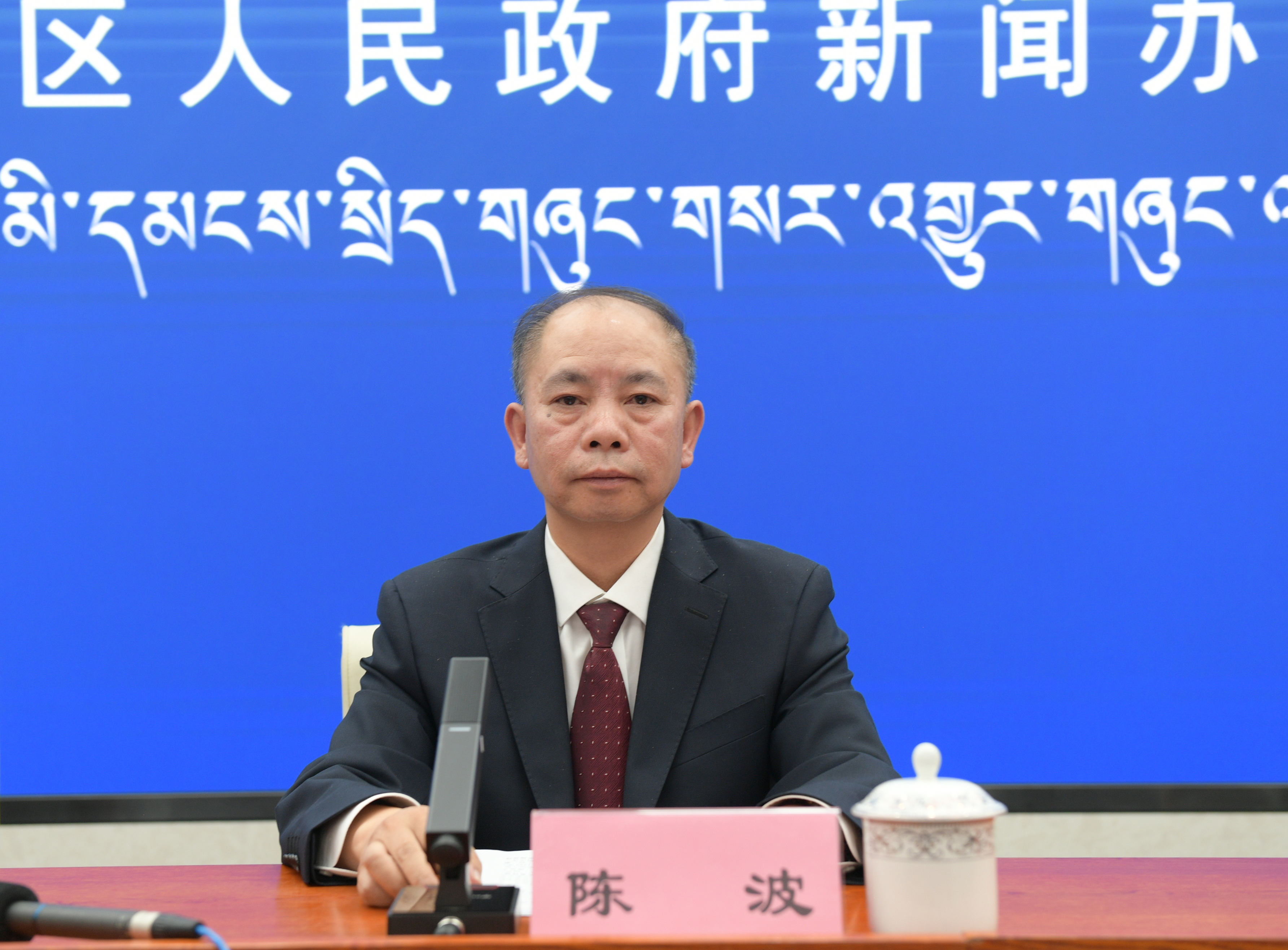 发言人：国网西藏电力有限公司董事、党委副书记 陈波.jpg