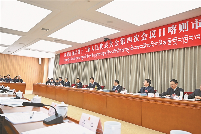 严金海参加日喀则代表团审议时强调 立足资源禀赋 发挥比较优势 为推进西藏长治久安和高质量发展再立新功