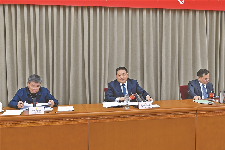 嘎玛泽登参加山南代表团审议时强调 找准发展定位 强化使命担当 努力在推进中国式现代化西藏实践中走在前列